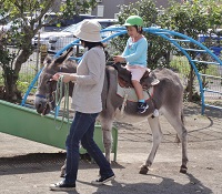 交通安全教室・修了児遠足（さくら組）、クリスマス会、高齢者施設訪問（さくら組）